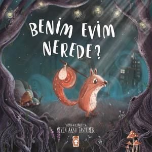 Benim Evim Nerede?