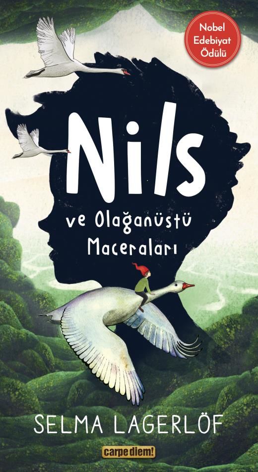 Nils Ve Olağanüstü Maceraları